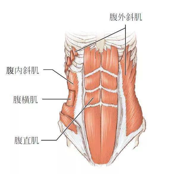 睡前一个动作出8块腹肌，睡前一个动作出8块腹肌动作（七天只练一个动作就可以练出八块腹肌）