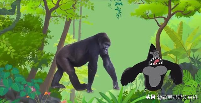 什么叫哺乳动物，什么叫哺乳动物怎么听一遍啊（<二十一>——强大的哺乳动物）