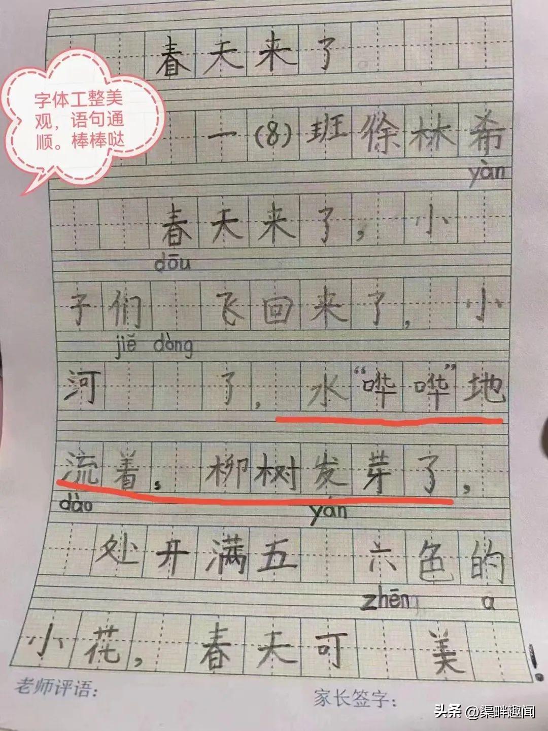 一年级小学生简短感言，简短的一年级成长感言（二实小北校：读书感悟⑤）