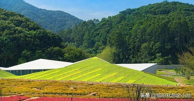 从化自驾游最好去处，广州从化自驾一日游景点有哪些