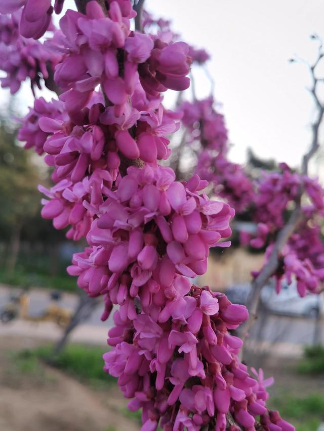 形容生活美好的成语，形容生活中美好的事的成语（人间最好的成语是什么）