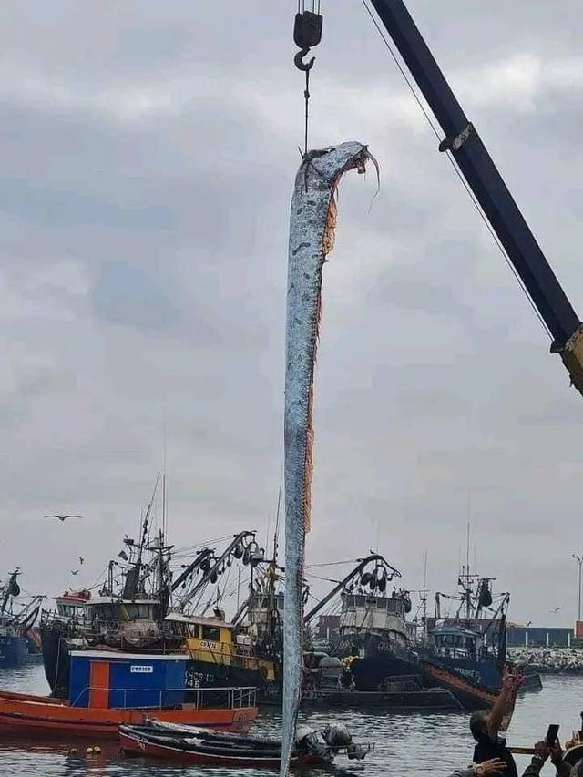 世界上最深的海峡，世界上最深的海峡是什么（你能坚持看到第几层）