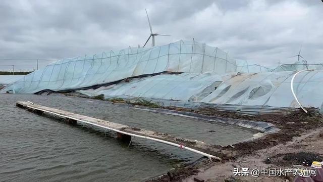 一朝回到解放前，一朝回到解放前的意思（部分虾农或将破产）