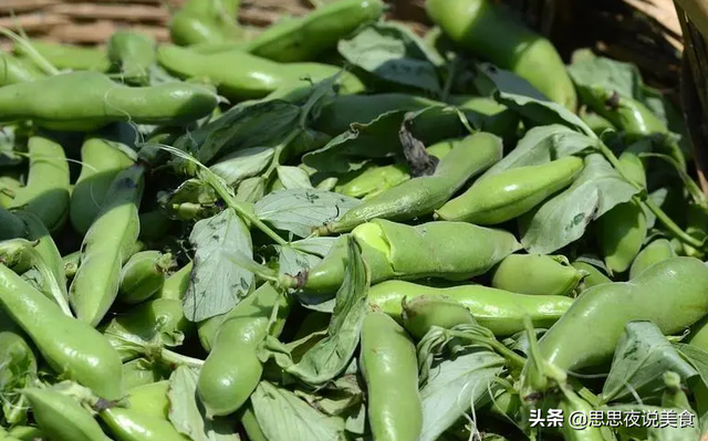 蚕豆怎么保存才新鲜，怎样保存新鲜蚕豆（直接冷冻和煮熟再冻都错了）