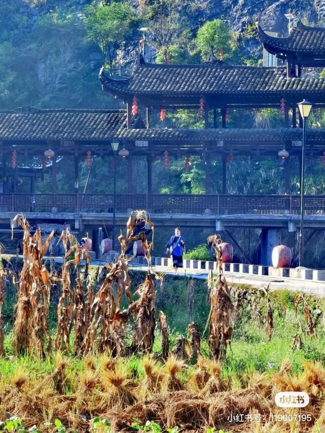 湘西终于开通高铁了，“湘西最美高铁”即将通车