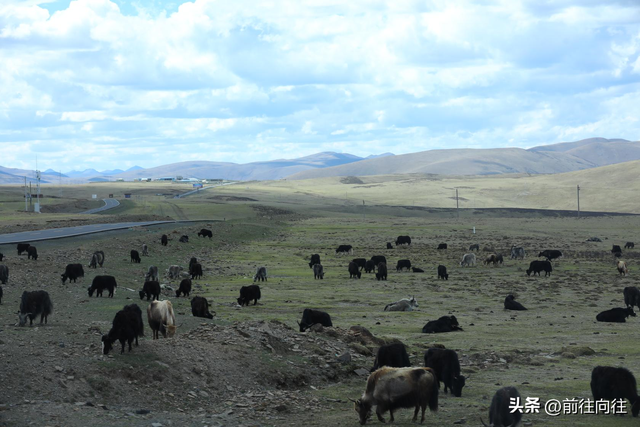 墨石公园属于哪个县城，墨石公园简介（必驾木格措墨石公园圣地理塘）