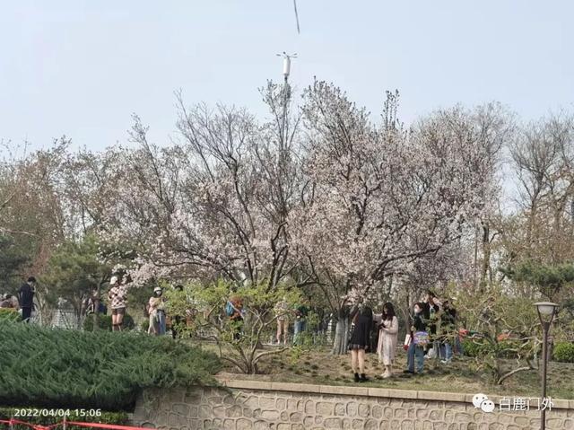元大都遗址位于现在的哪里，元大都遗址位于现在哪里（走近元大都遗址）