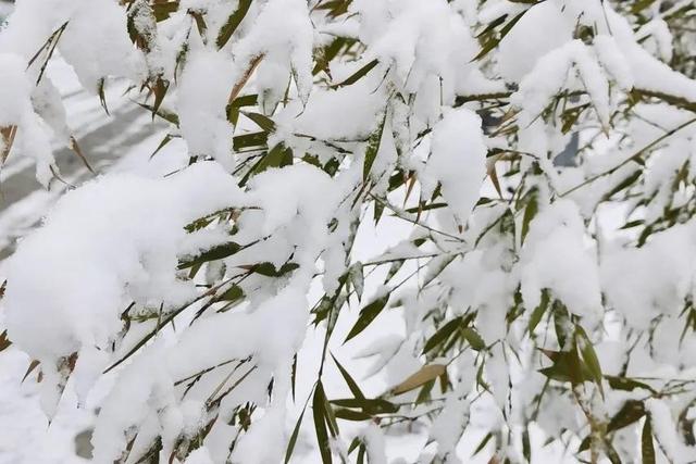 心灵的归宿，家是我们的避风港是心灵的归宿（心灵的归宿唯美句子）