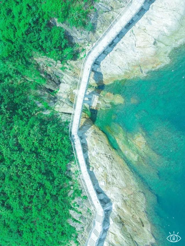 深圳一日游免费必去的地方，深圳最适合一日游的15个免费景点（深圳10个小众打卡地）