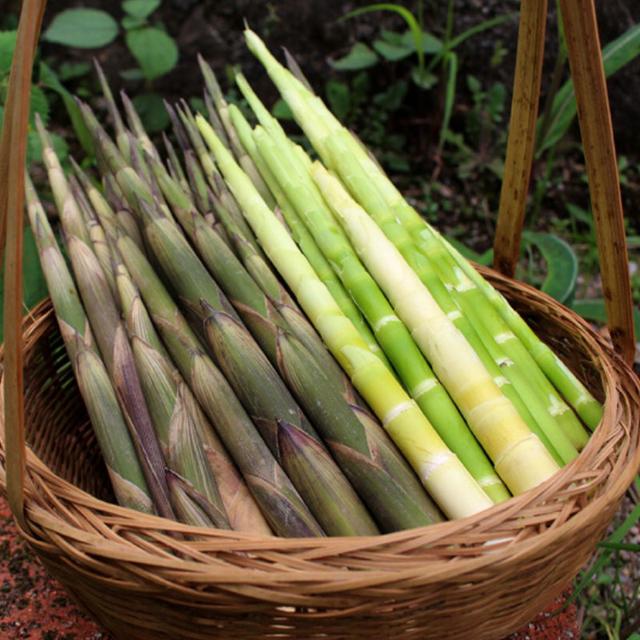 野菜的种类，野菜的种类名称及图片（120种野菜介绍）