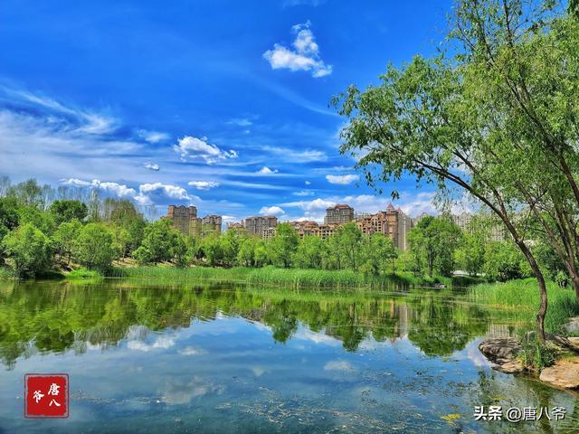 夏天有什么景色，夏天有哪些景色的描写（夏天的美景）