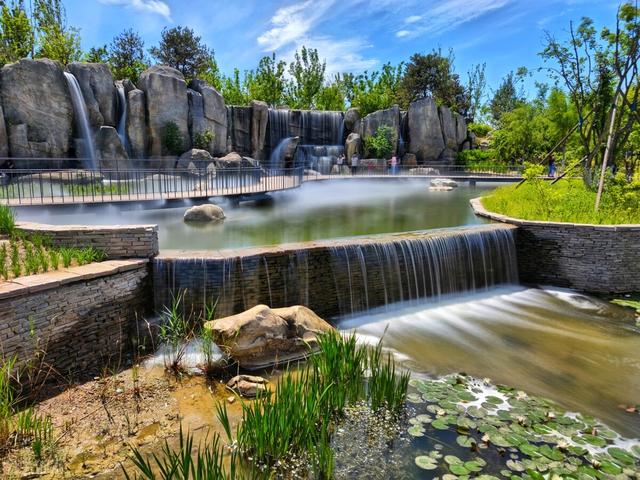 北京湿地公园有哪些景点好玩，北京公园推荐︱10个值得一去的免费公园