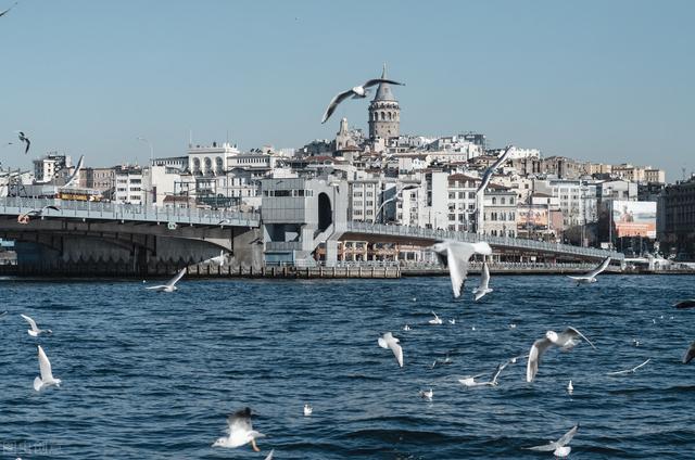 法国国旗和荷兰国旗，法国国旗和荷兰国旗的区别（盘点土耳其做过的奇葩事情）