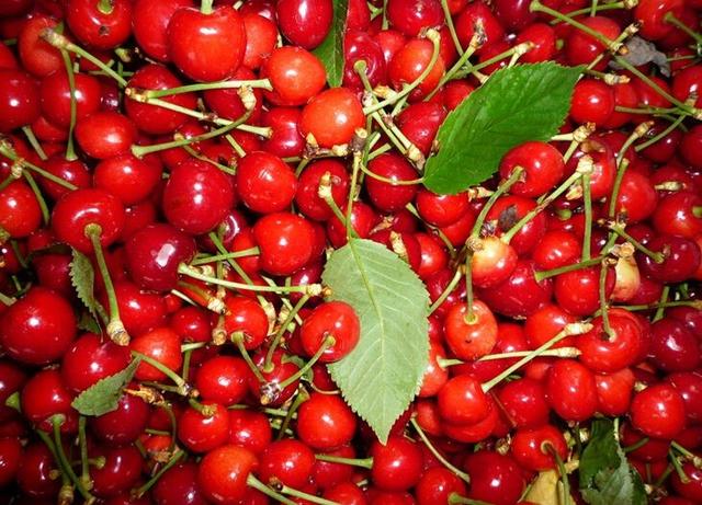 夏天10大水果，夏天吃什么水果降火快（多吃这6种应季水果）