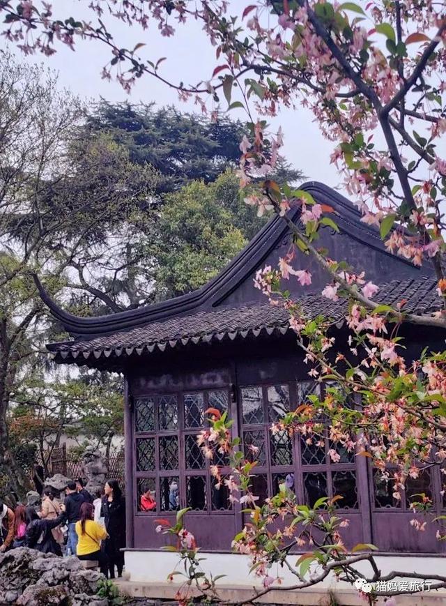苏州山塘街攻略，苏州山塘街美食最强攻略（周末轻松苏州游）