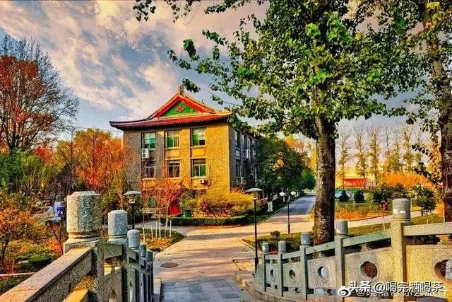 山东大学数学学院，山东大学数学系有哪些专业（山东大学有哪些王牌专业）