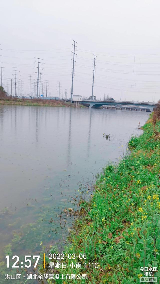 武汉白沙洲人工河，天气下雨鱼情好。坐标武汉市洪山区白沙洲青菱河