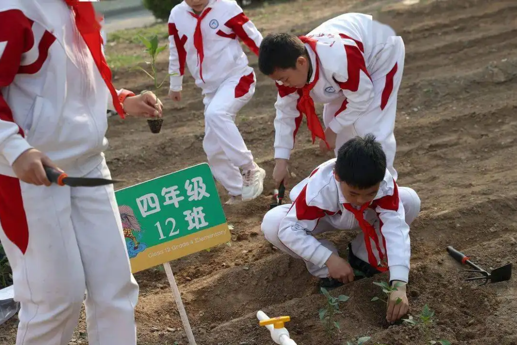 学校收钱的理由（黑龙江某高中出洋相）