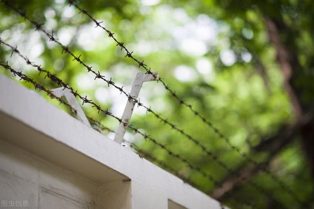 逝去的青春什么意思，逝去的青春什么意思和失去的青春的区别（逝去的青春）