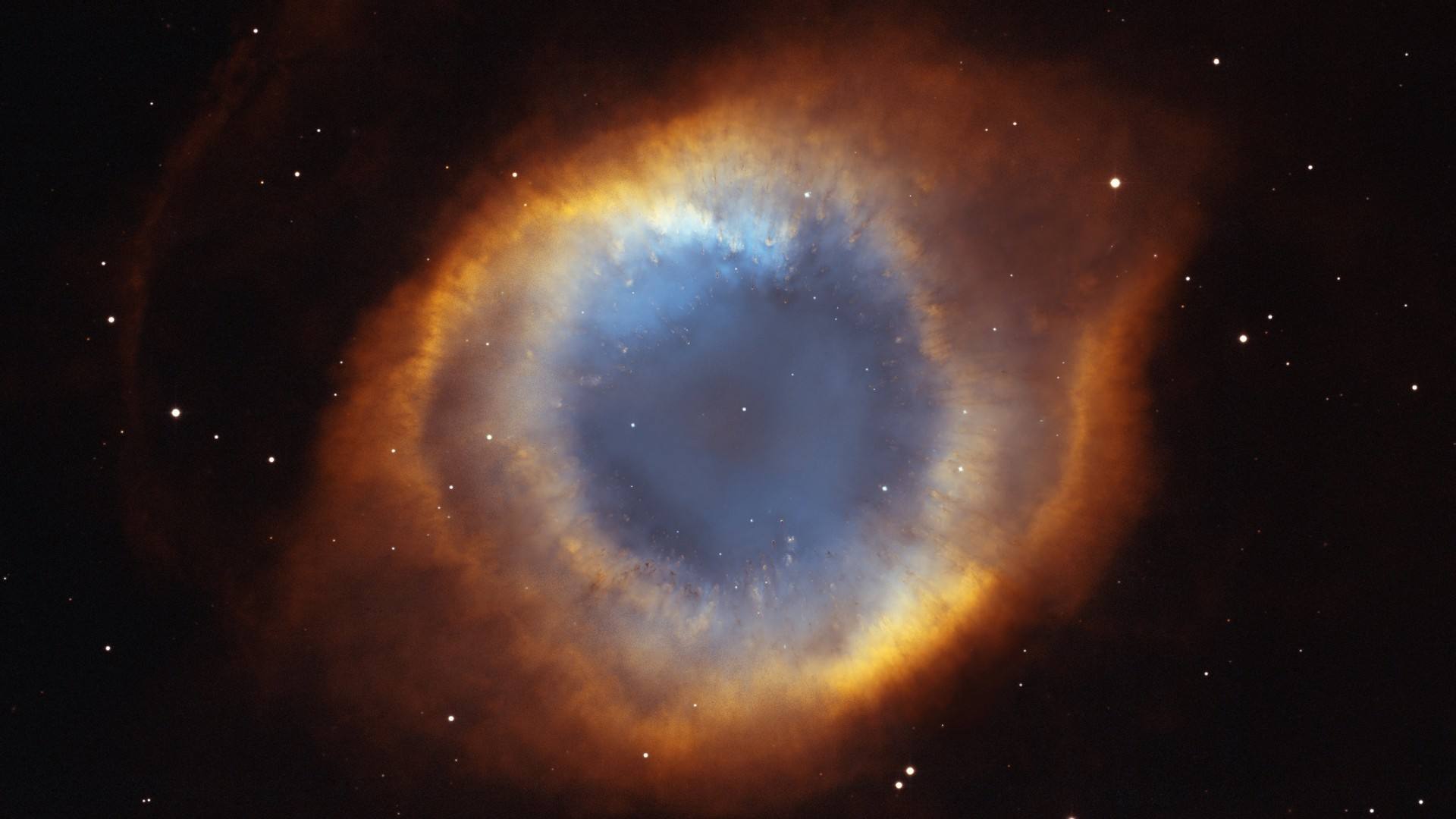 深海最恐怖照片曝光！科学家坦言：宁探太空，不敢深入这片未知深渊