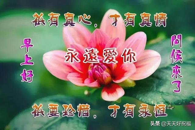 问候语有哪些,常用的问候语有哪些(有创意的早安免打字祝福语带表情