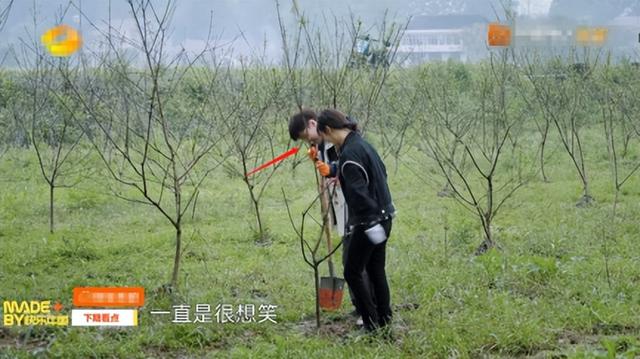“京圈富婆”杨紫：兰博基尼打赌，绯闻男友众多，被张雪迎戴绿帽