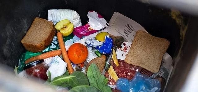 carrots是什么意思，carrots是什么意思英语（一年丢掉40%的食物）