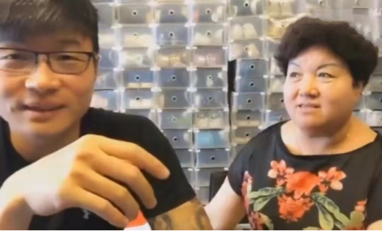 帝师真实身份，帝师真实身份斛珠夫人（帝师：“最强风水师”）