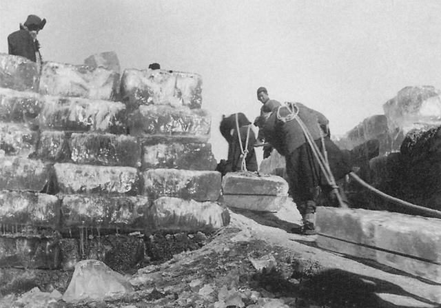 36年属什么生肖，包含64年属什么生肖今年多少岁的词条