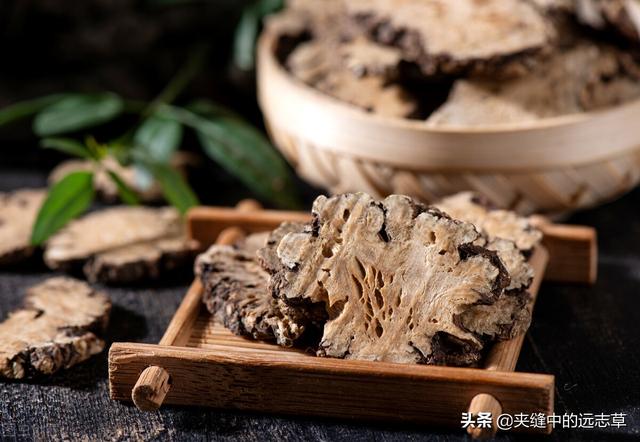 纹股蓝的功效与作用，讲一味小小的绞股蓝