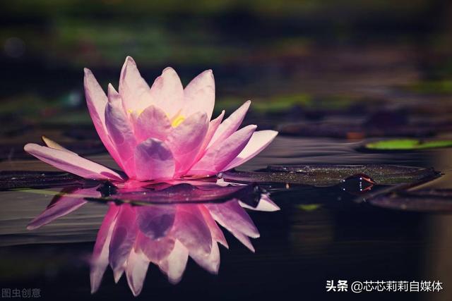 平靜的生活經典句子,心態好格局大的句子(平靜人心的句子)