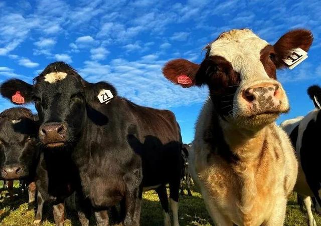 “我有点不开心，微信头像，“我有点不开心，不只一次，不只今天，不只是你”丧系女生头像（所有的不开心就止步于此吧）