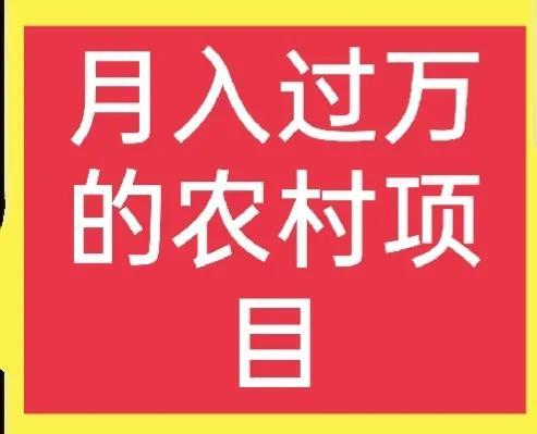 农村做什么好(农业养殖养什么好)