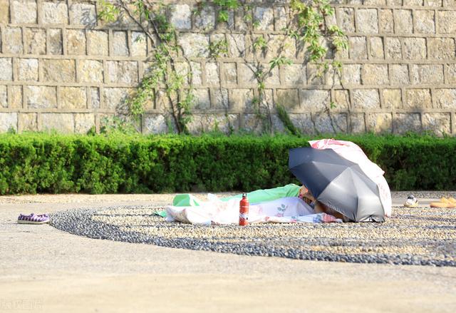 夏天做什么清淡的汤，夏天适合做什么汤（建议大家：少吃生姜和绿豆）