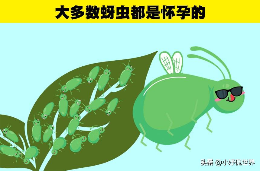 怎么证明自己怀孕了（听起来很假）