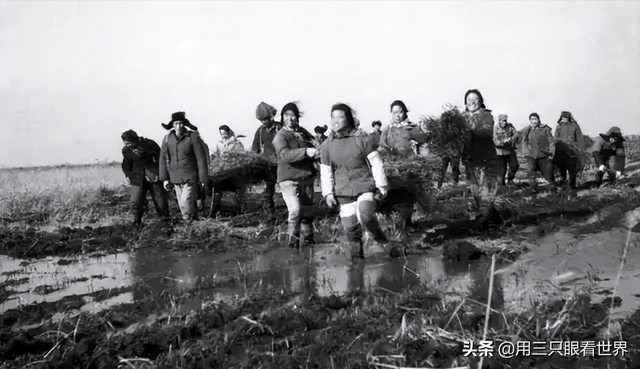 苏修是什么意思，高屋建瓴什么意思（从这一天起）