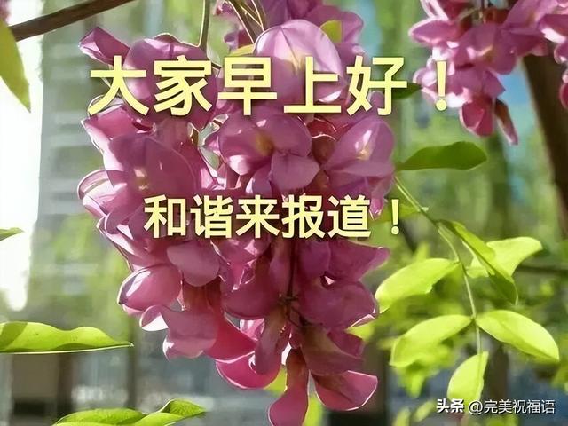 特别的祝福语，大年初一特别的祝福语（今日最新早上好表情大全）