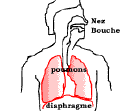 如何练习腹式呼吸，腹式呼吸怎么练（正确的腹式呼吸可不是“吸气鼓肚子”那么简单）