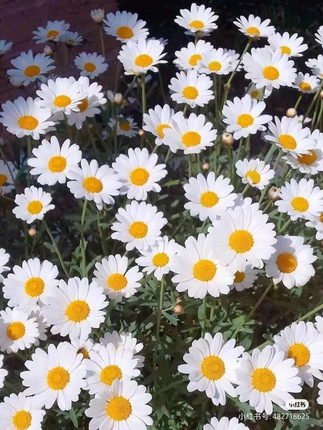 党内警告处分有什么影响，党内严重警告处分有什么影响（受到党内严重警告处分）