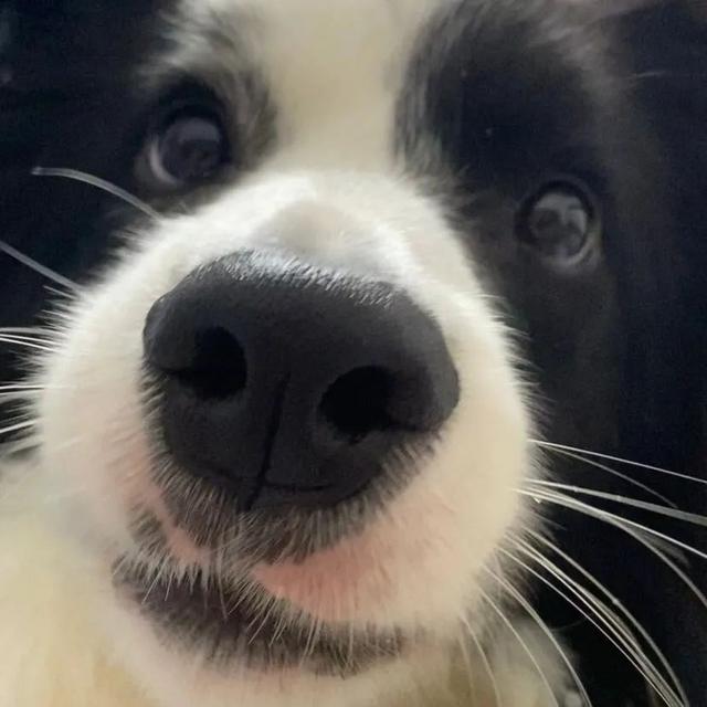 也许放弃才能靠近你，也许放弃 才能靠近你，微信头像（人生才几年不能因为找不到对象而放弃自己）