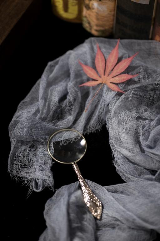 珍惜青春梦一场，青春梦一场是哪首歌词（《人世间》：寒冬散尽）