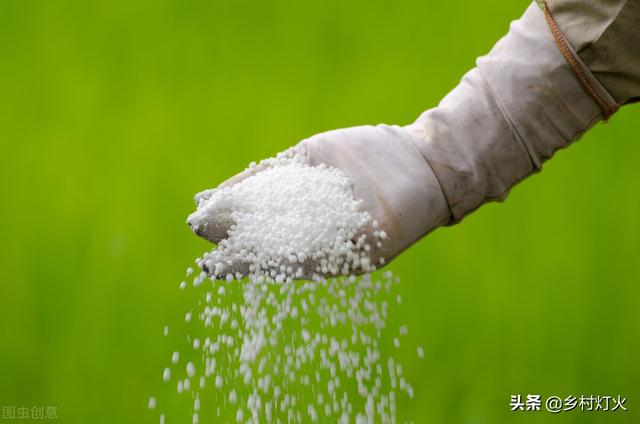 碳铵和碳酸氢铵的区别，氮铵和碳酸氢铵有何区别（为什么使用碳酸氢铵的农民越来越少）