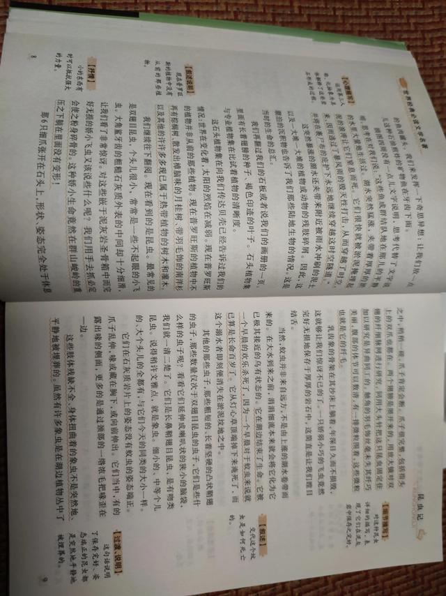 老象虫的外形特点，老象虫外表有何特点（一起读书——《昆虫记》）