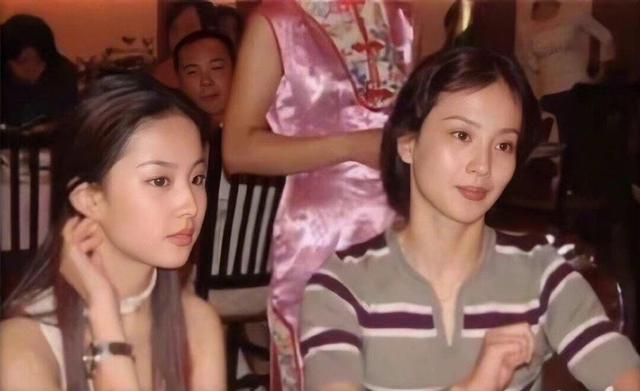 刘亦菲侧颜为什么好看，刘亦菲不是基因彩票