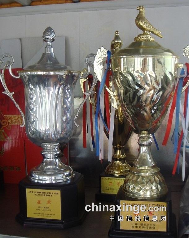 什么鸽子引天落，什么叫天落鸽子（引赛绩鸽修得正果——飞出三关鸽王冠军）