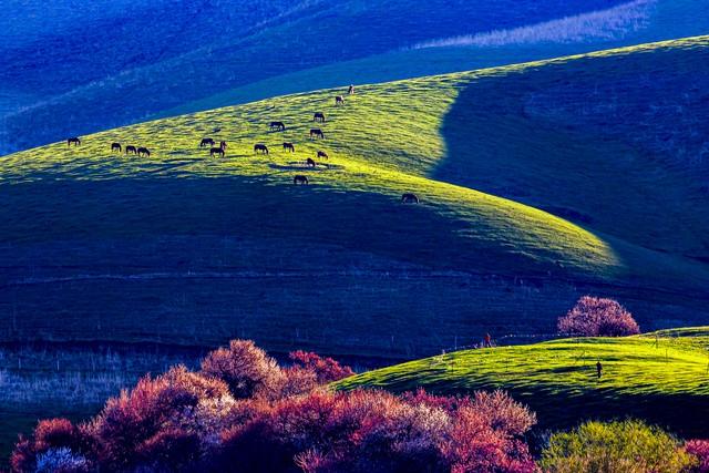 旅行对人生的意义到底是什么，旅游对人生的意义是什么（人生的意义又是什么）