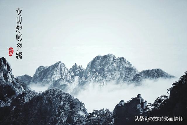 松树有什么象征与含义，松树象征的意义是什么（松在中华文化中象征着一种精神）