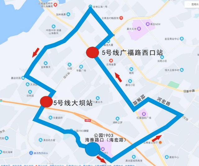 豹龟结石，昆明地铁5号线，首！发！见（肾结石会有啥症状）