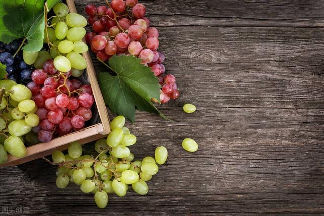 猫咪能吃什么水果，猫咪适合吃什么水果（这些夏季水果）