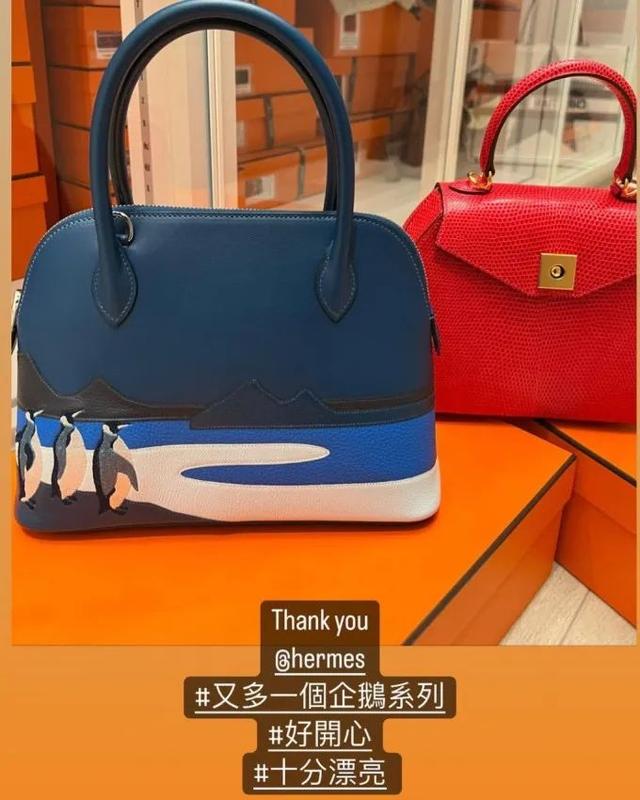 世界上最贵的包，世界最贵包包前十名（76只包拍出2520万）